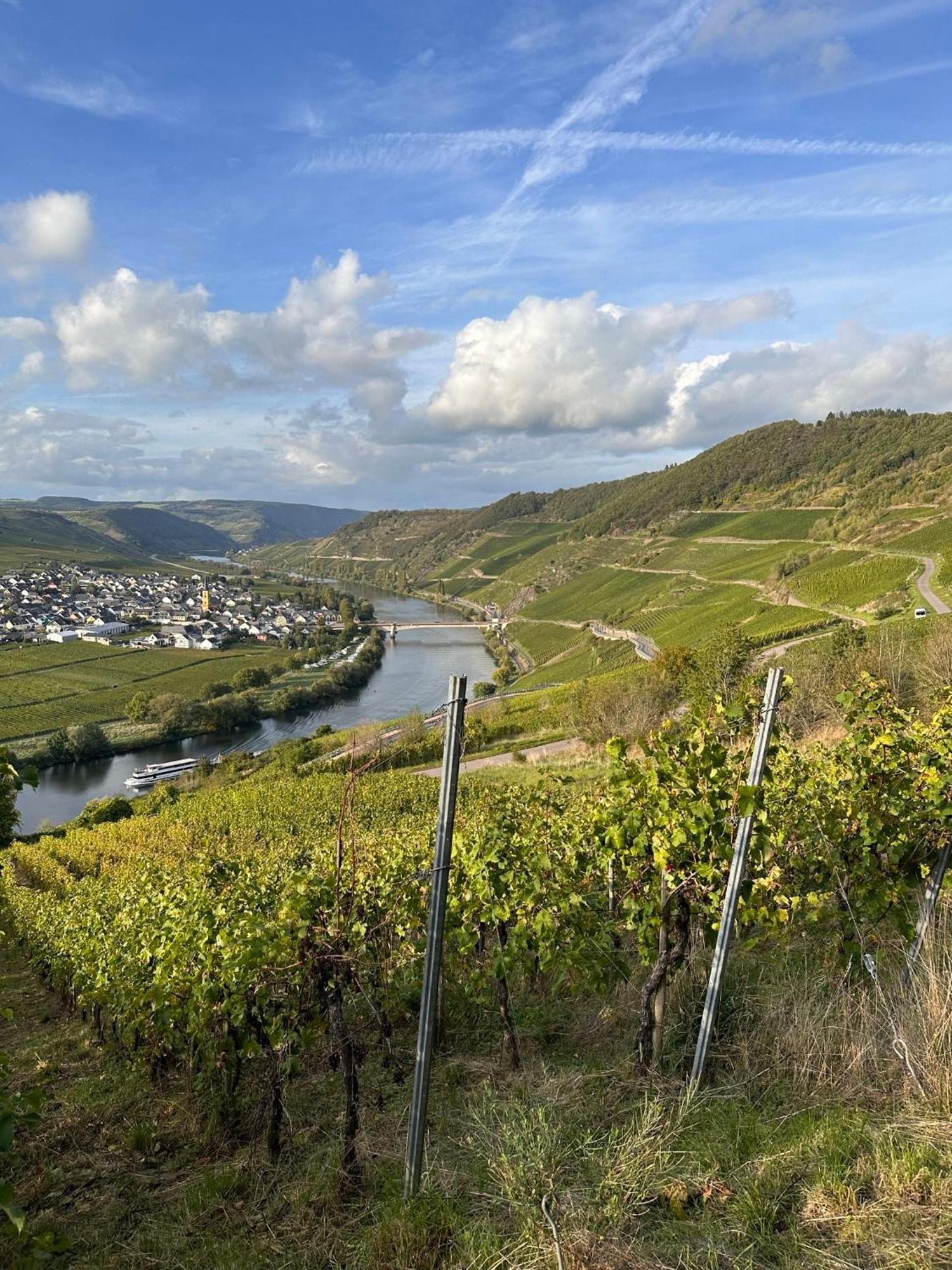 Hotel Krone Riesling Trittenheim Bagian luar foto
